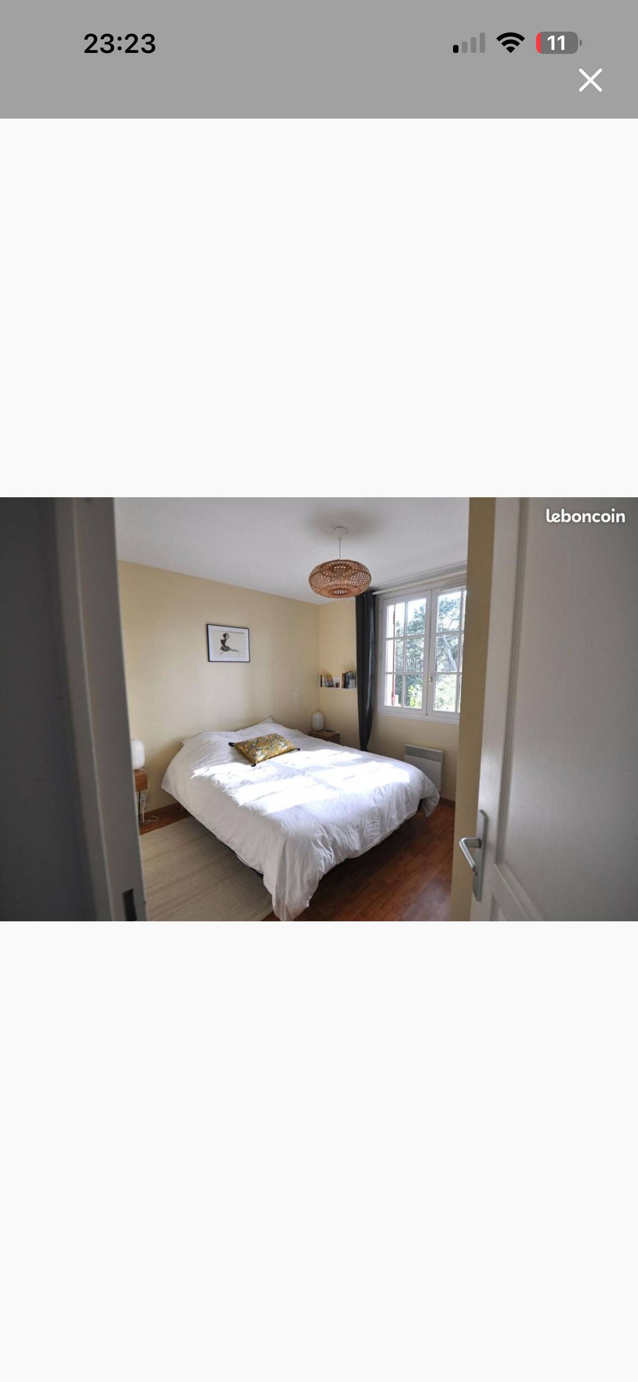 Une photo de l’annonce