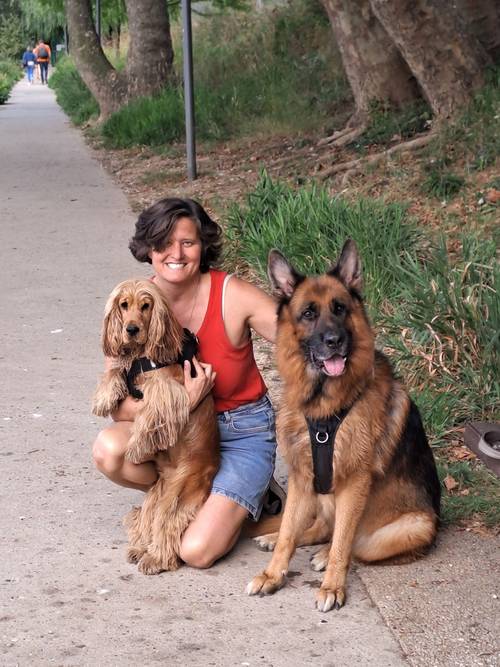 Propose éducation canine, promenades à Levallois et garde de chiens à domicile