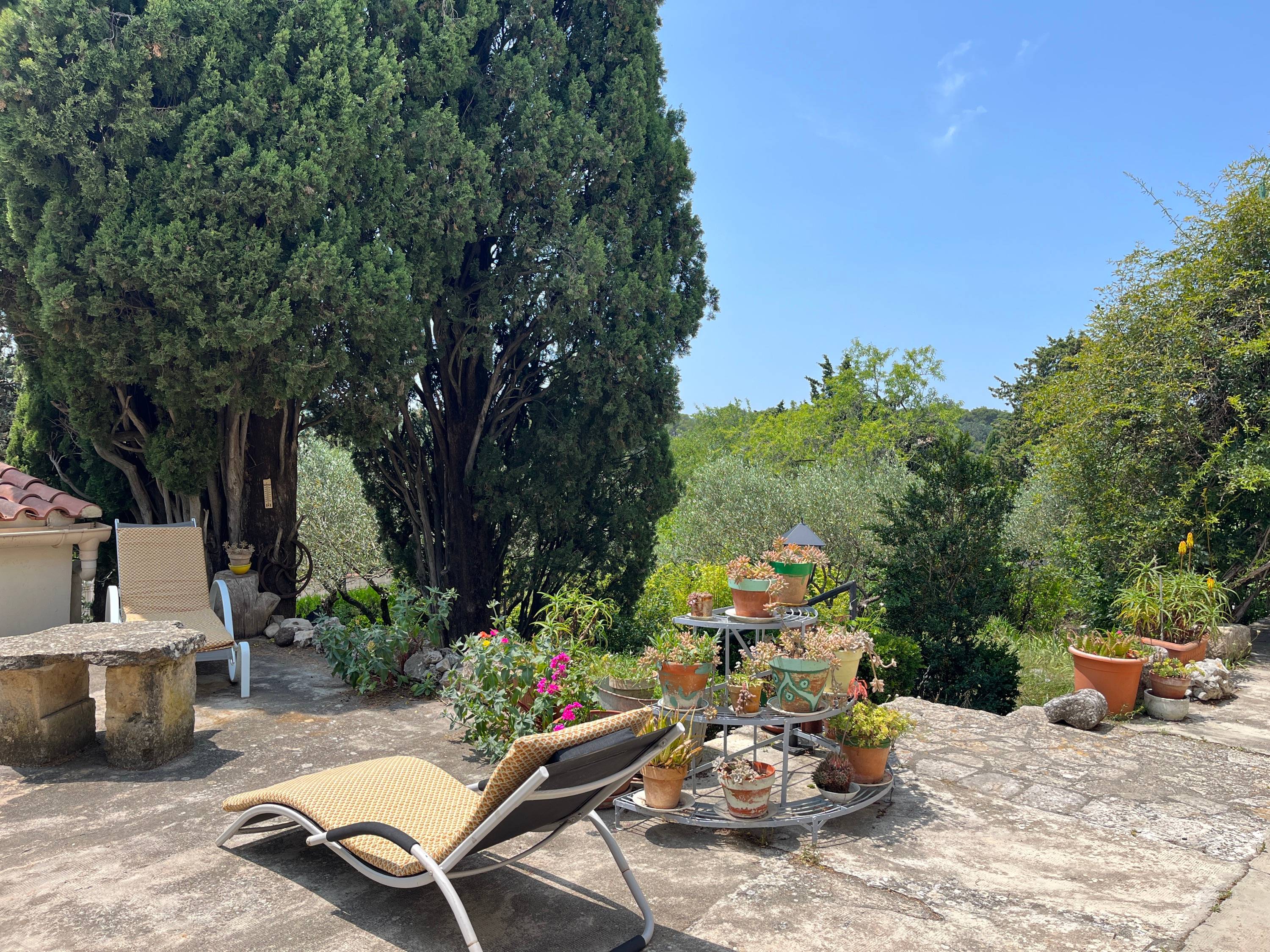 Colocation avec jeune fille anglophone / jardin magnifique 