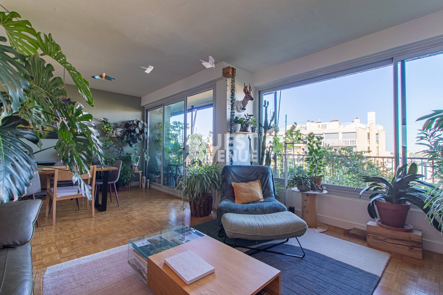 Une photo de l’annonce