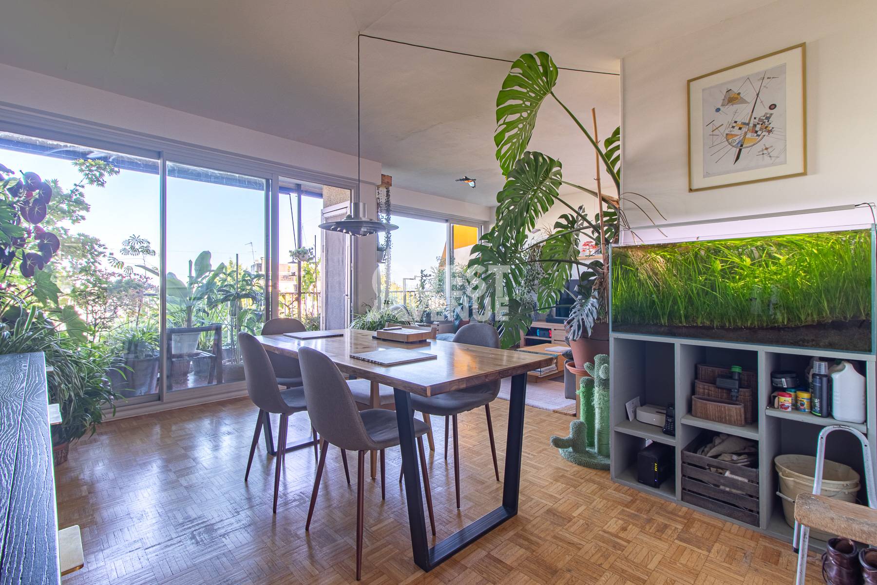 Une photo de l’annonce