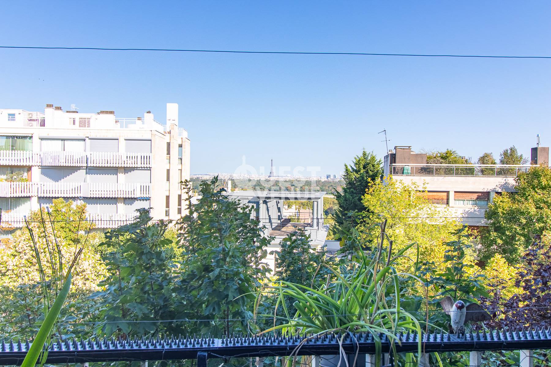 Une photo de l’annonce