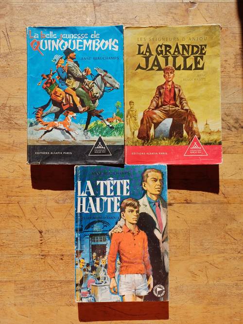 Anne Beauchamps - Les seigneurs d’Anjou (Série complète)