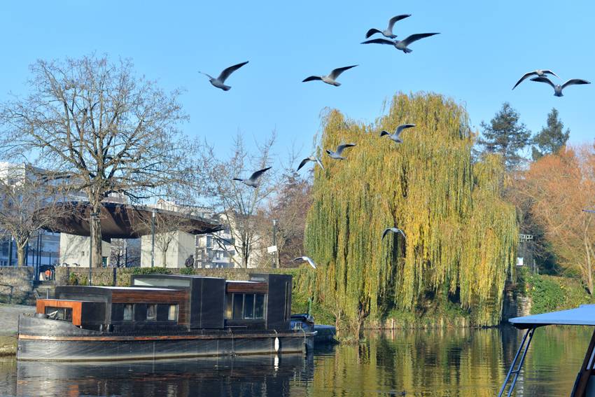 Une photo de l’annonce de location de vacances