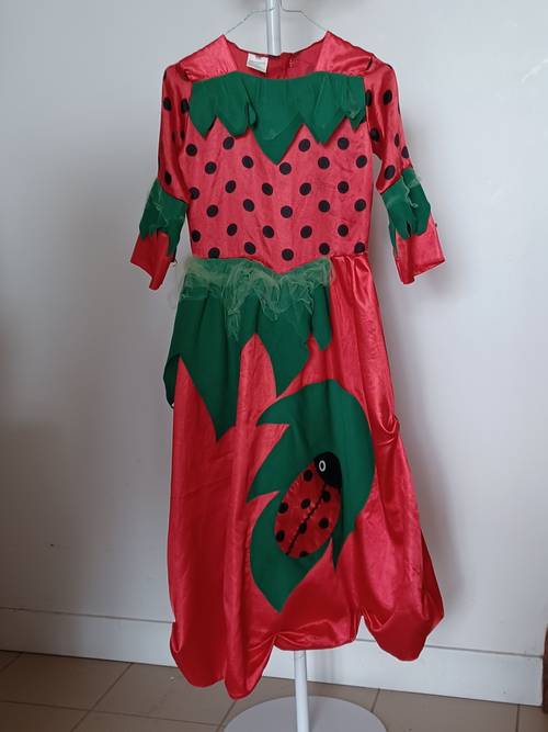 Vends déguisement – costume de coccinelle