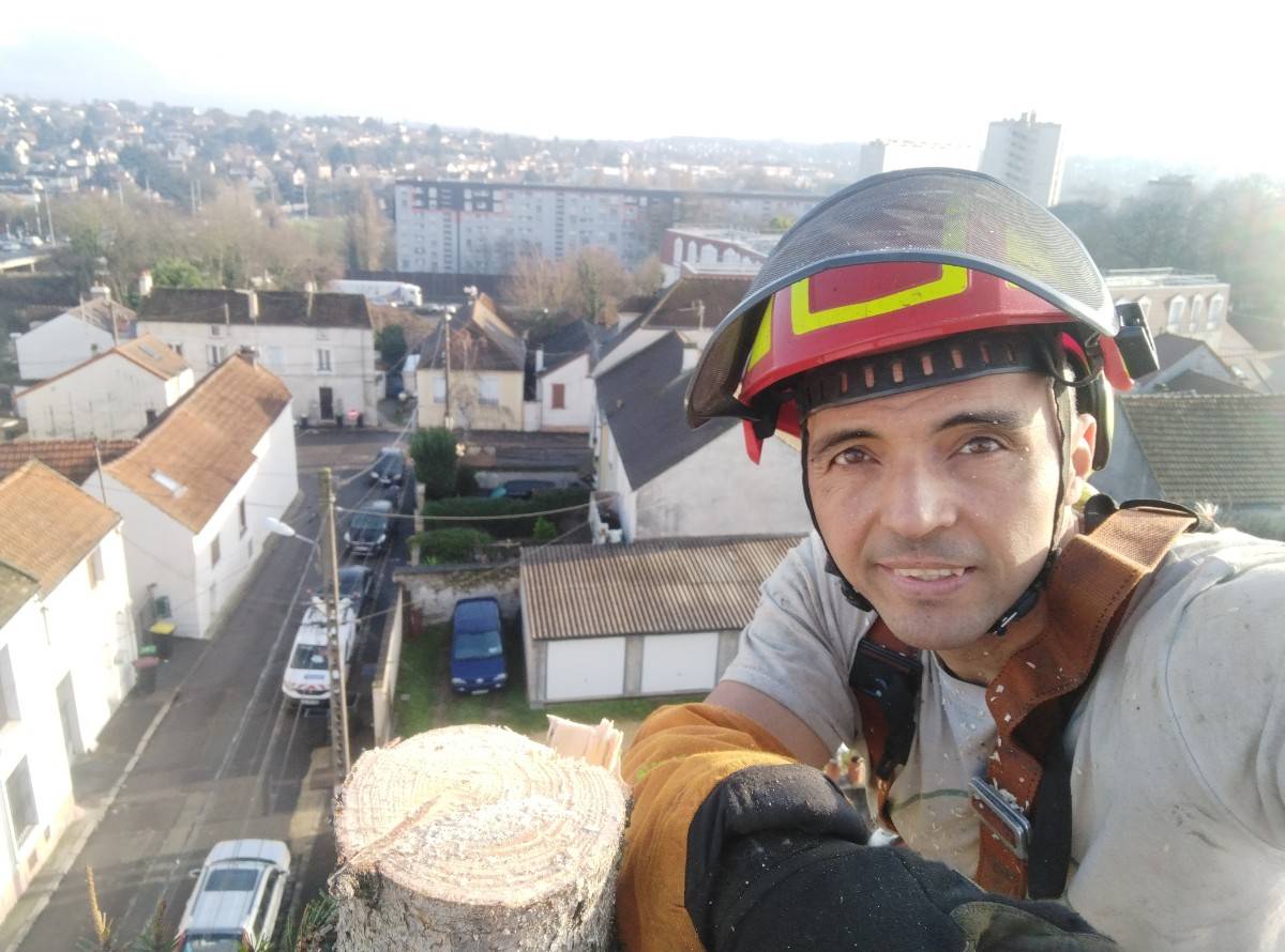 Propose mes services d’arboriste grimpeur jardinier