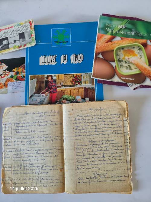 Lot de fiches Tupperware pour la cuisine facile et pas chère et 2 livres