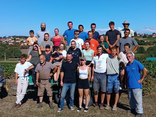 Recrute vendangeurs H/F - Sud Beaujolais (69) fin août