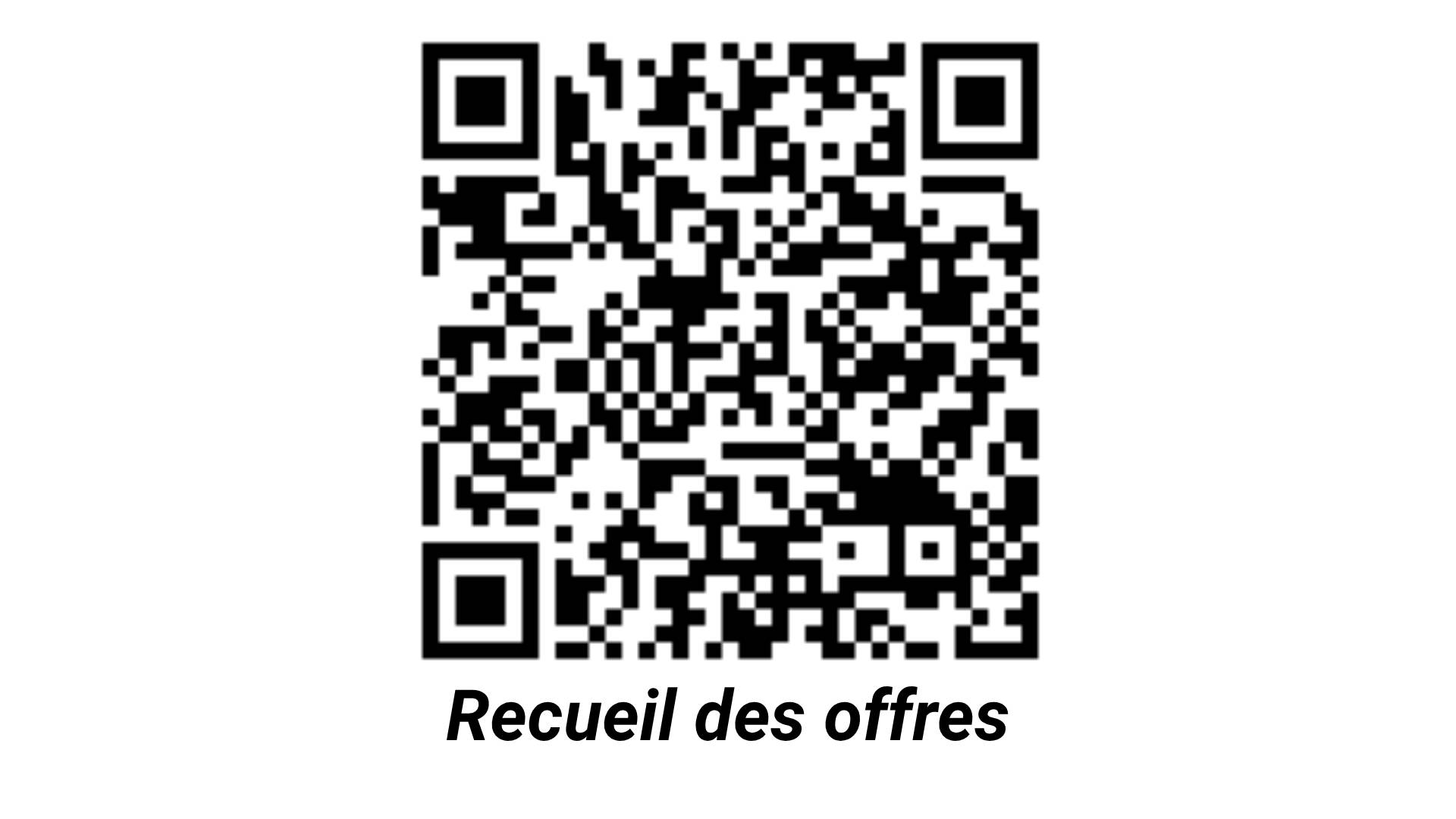 Une photo de l’annonce
