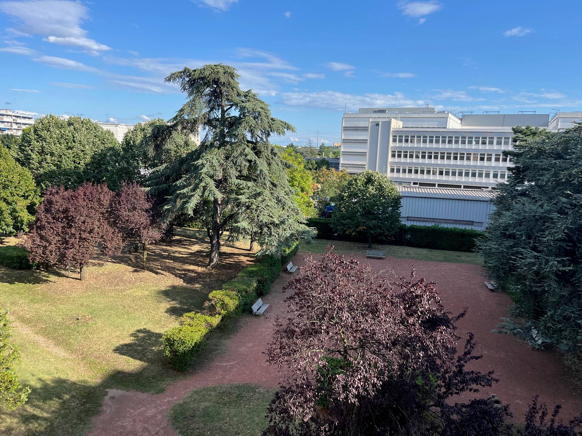 Une photo de l’annonce