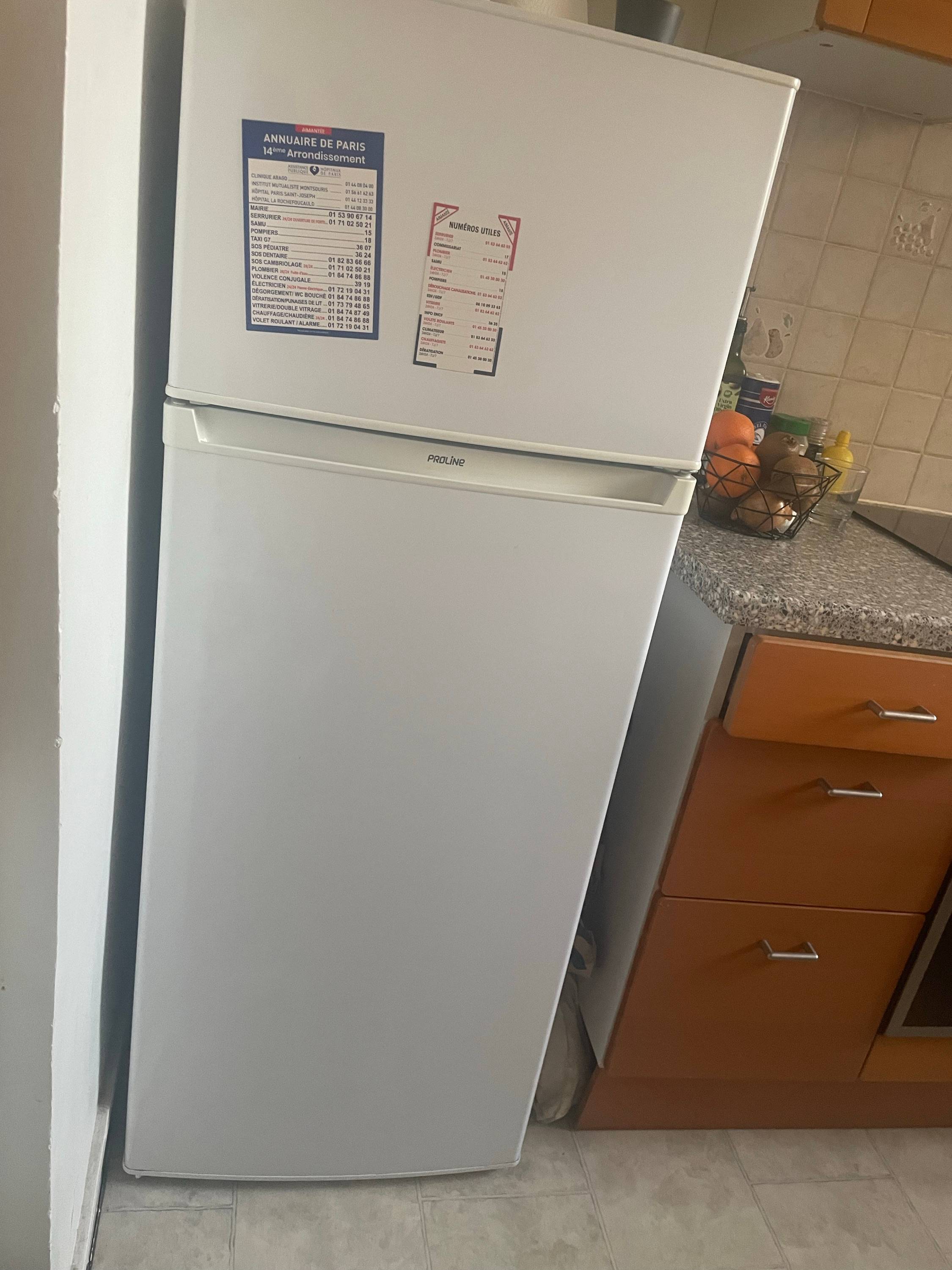 Vends frigo Proline en très bon état avec congélateur intégré à récupérer Porte d’Orléans (Paris 14ème)