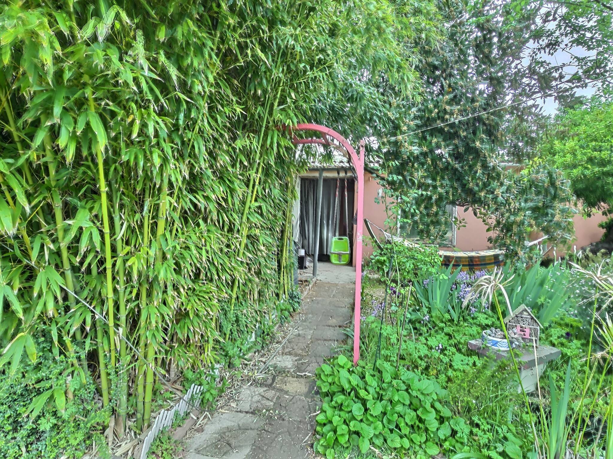 Une photo de l’annonce