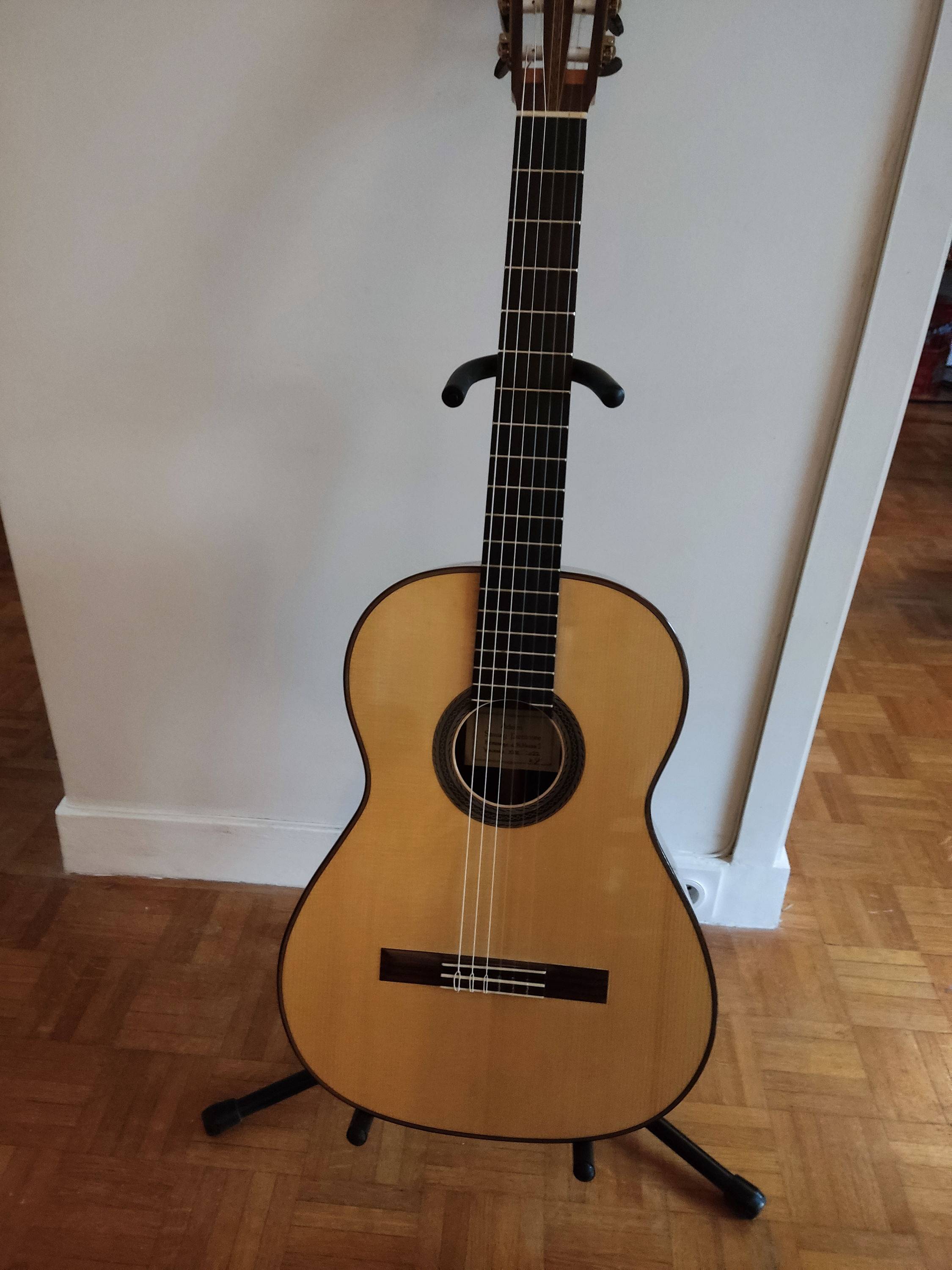 Guitare classique de concert