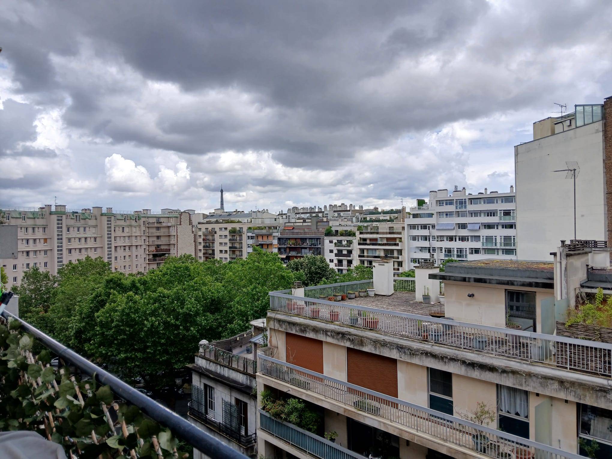 Une photo de l’annonce