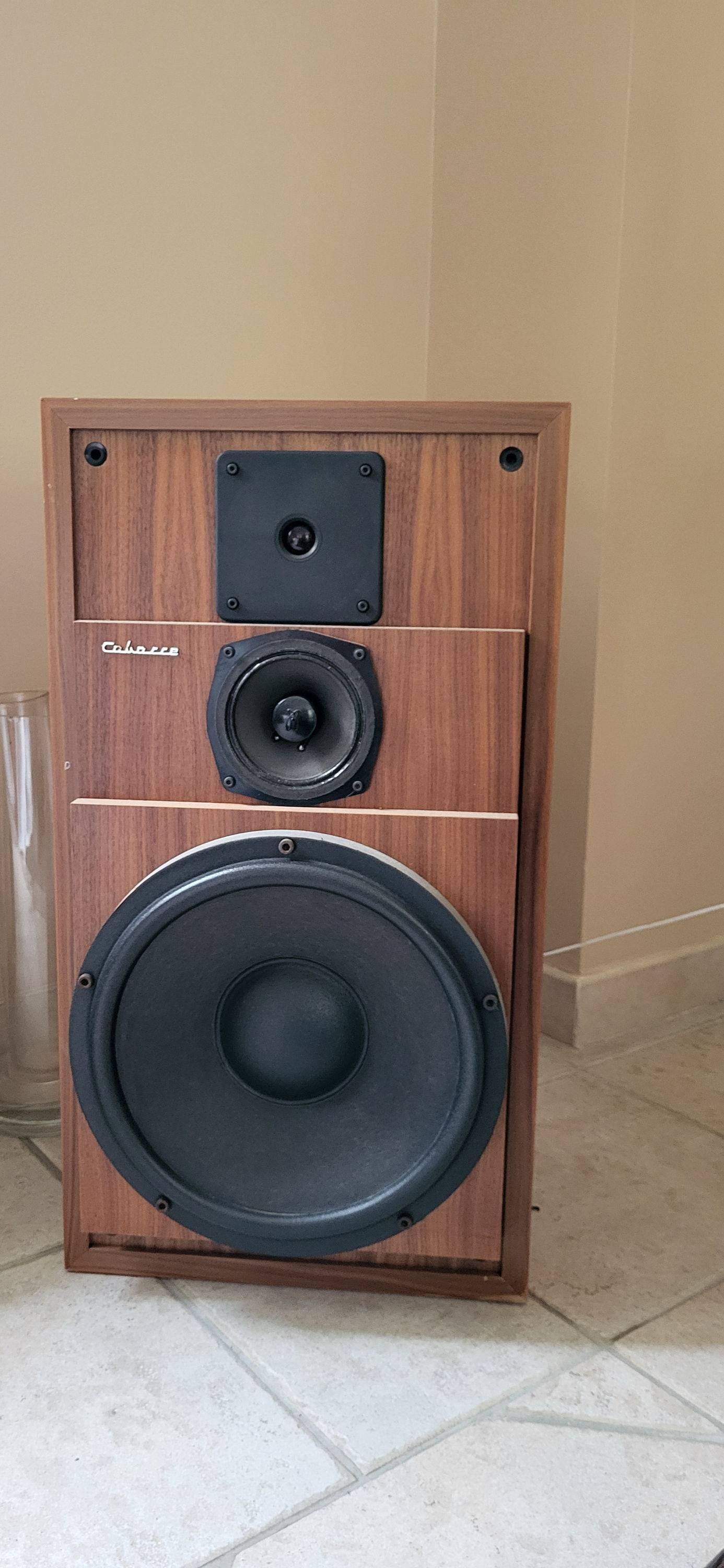 Vends deux enceintes Cabasse