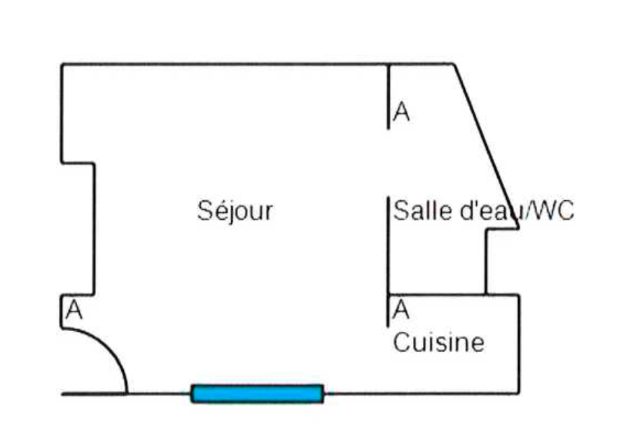 Une photo de l’annonce