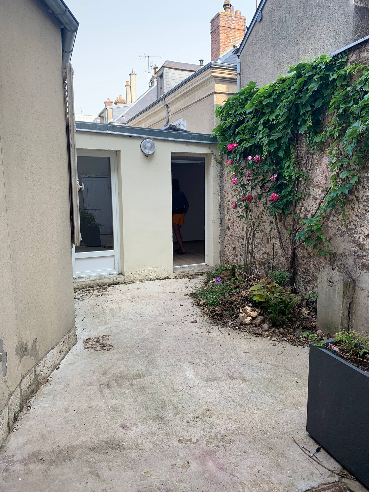 Une photo de l’annonce