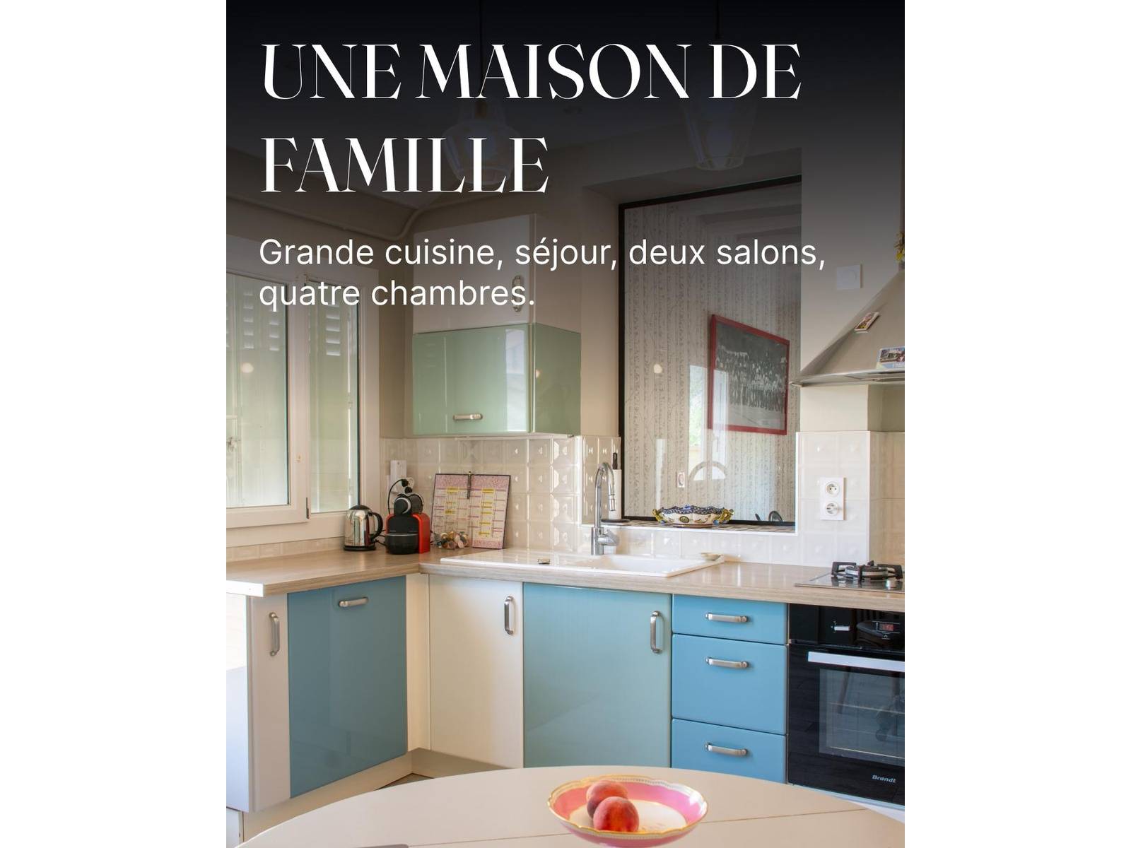 Une photo de l’annonce