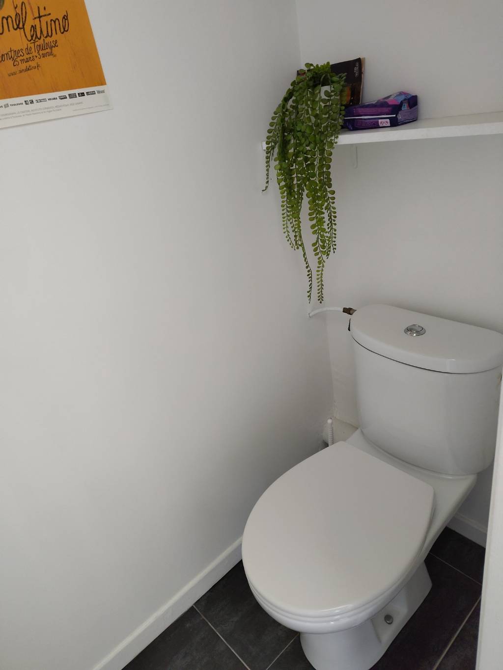 Une photo de l’annonce