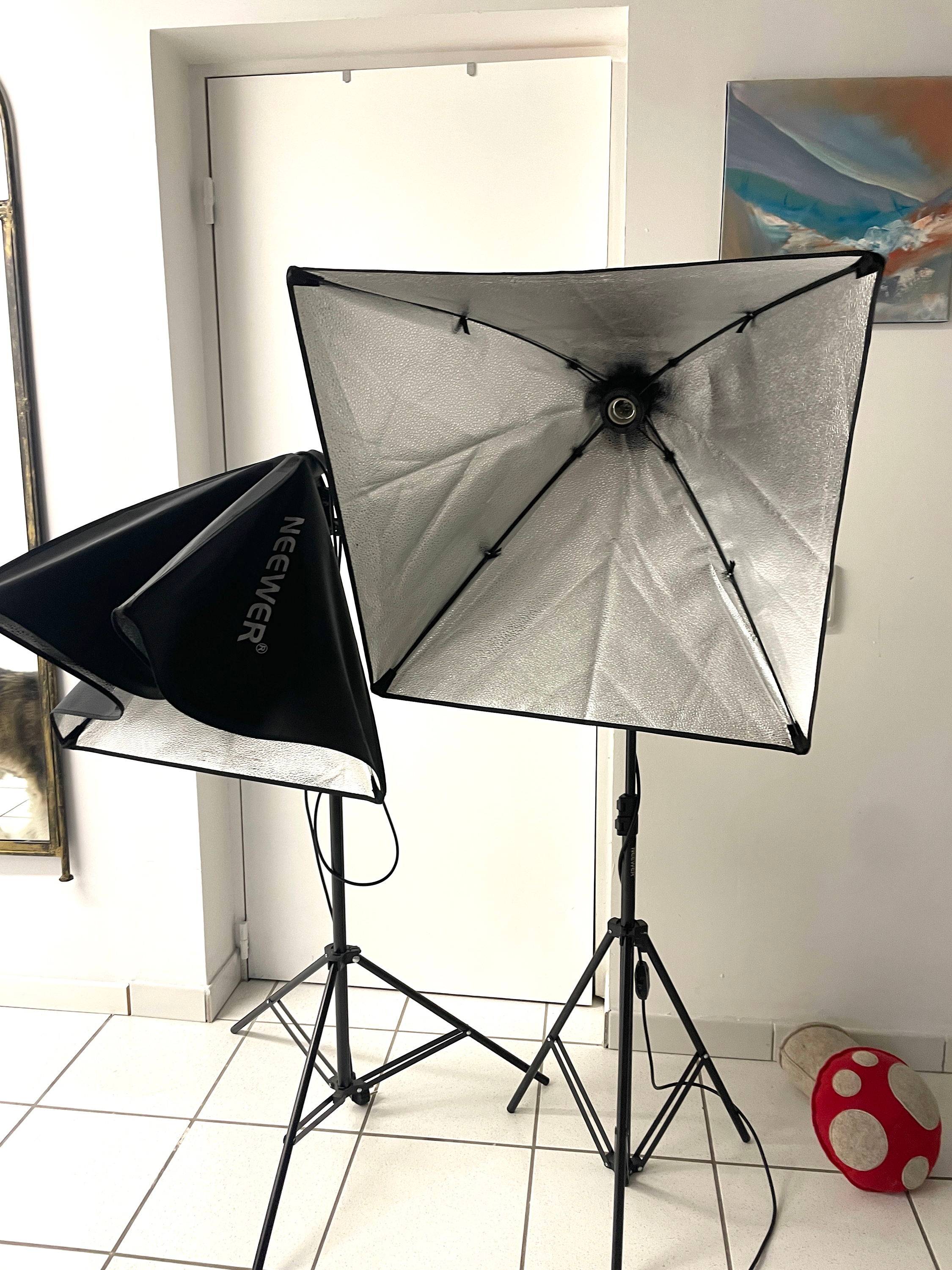 Vends kit d’éclairage Softbox duo lampes 85W
