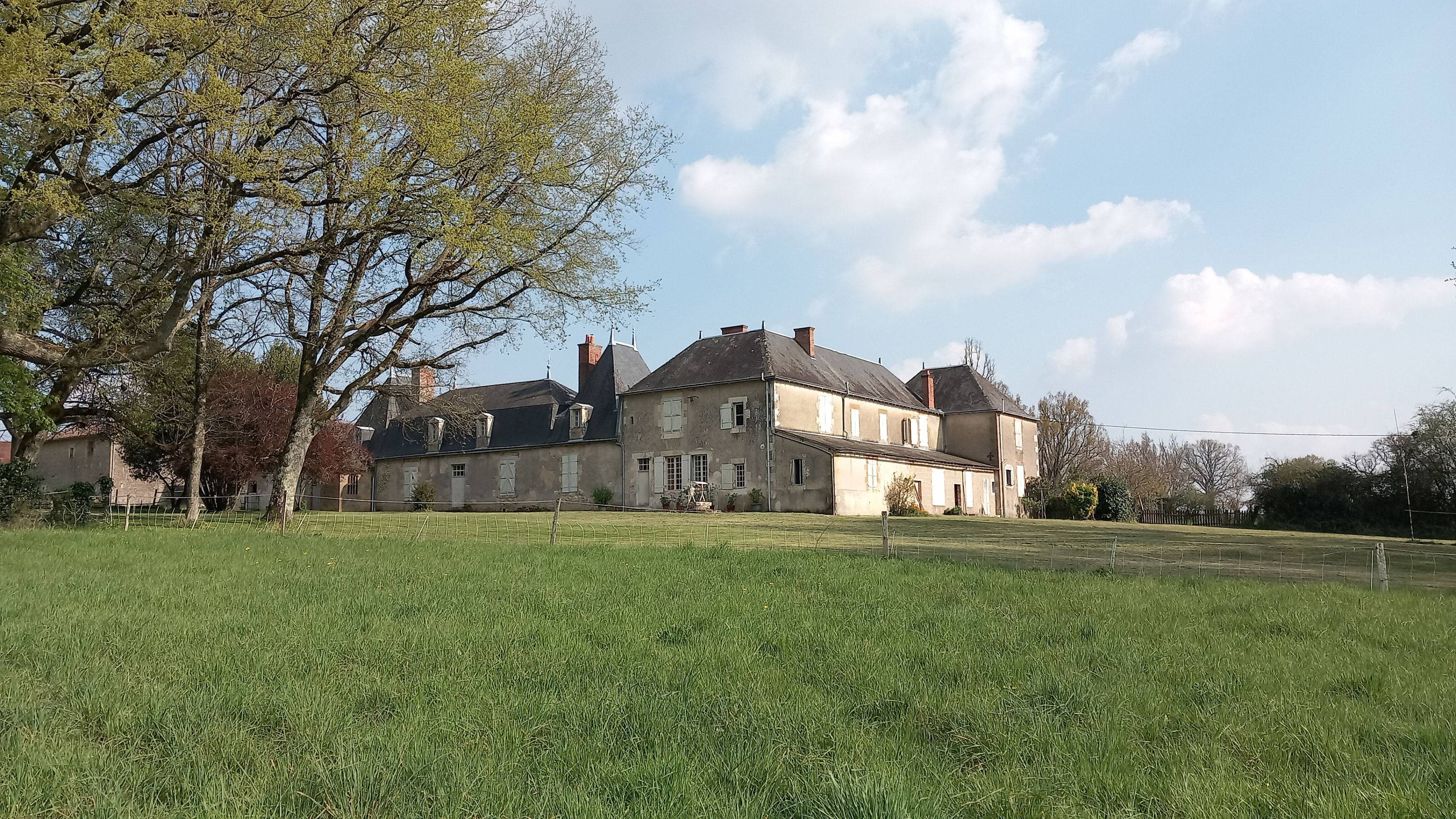 Une photo de l’annonce