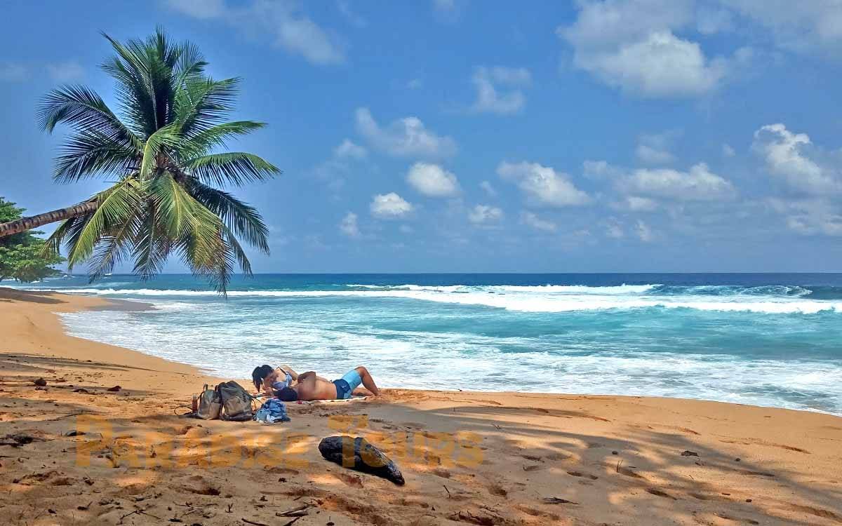 Propose stage marketing tourisme durable à São Tomé et Príncipe (distanciel)