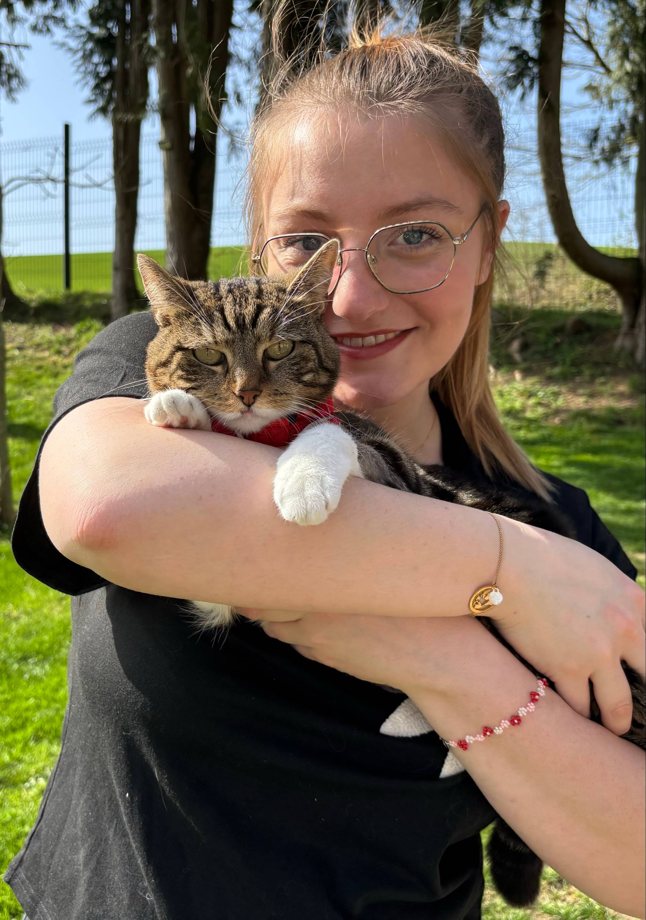 Propose garde de chats à mon domicile