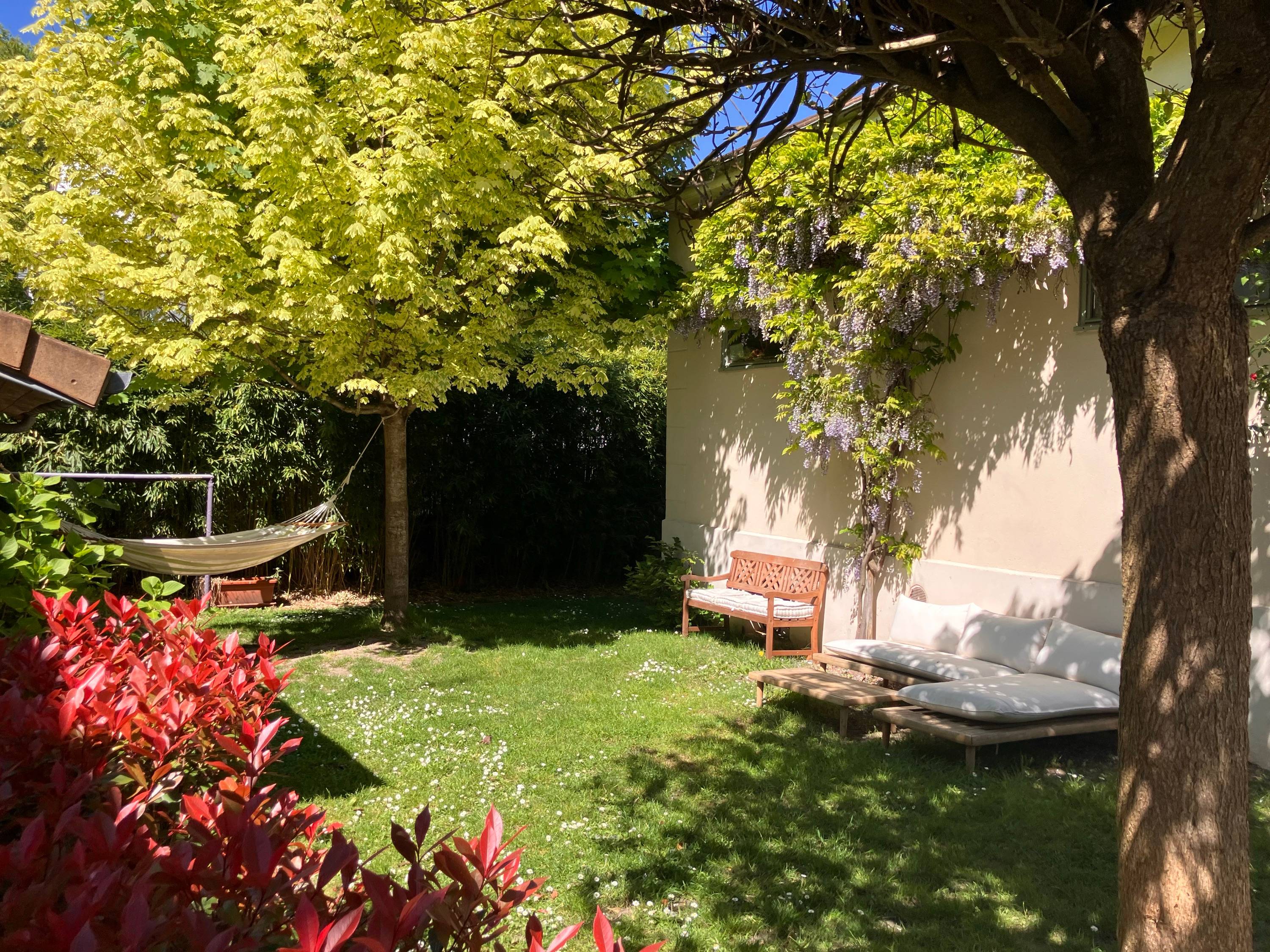 Une photo de l’annonce