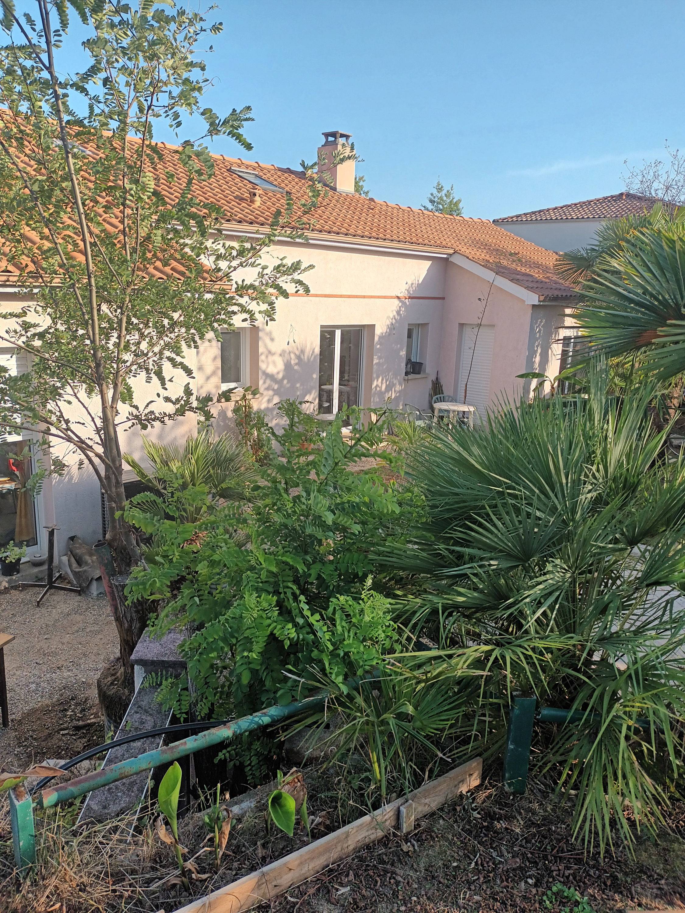 Une photo de l’annonce