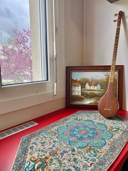 Vends setar persan artisanal – fabriqué par Hatef Malekshahi – très bon état
