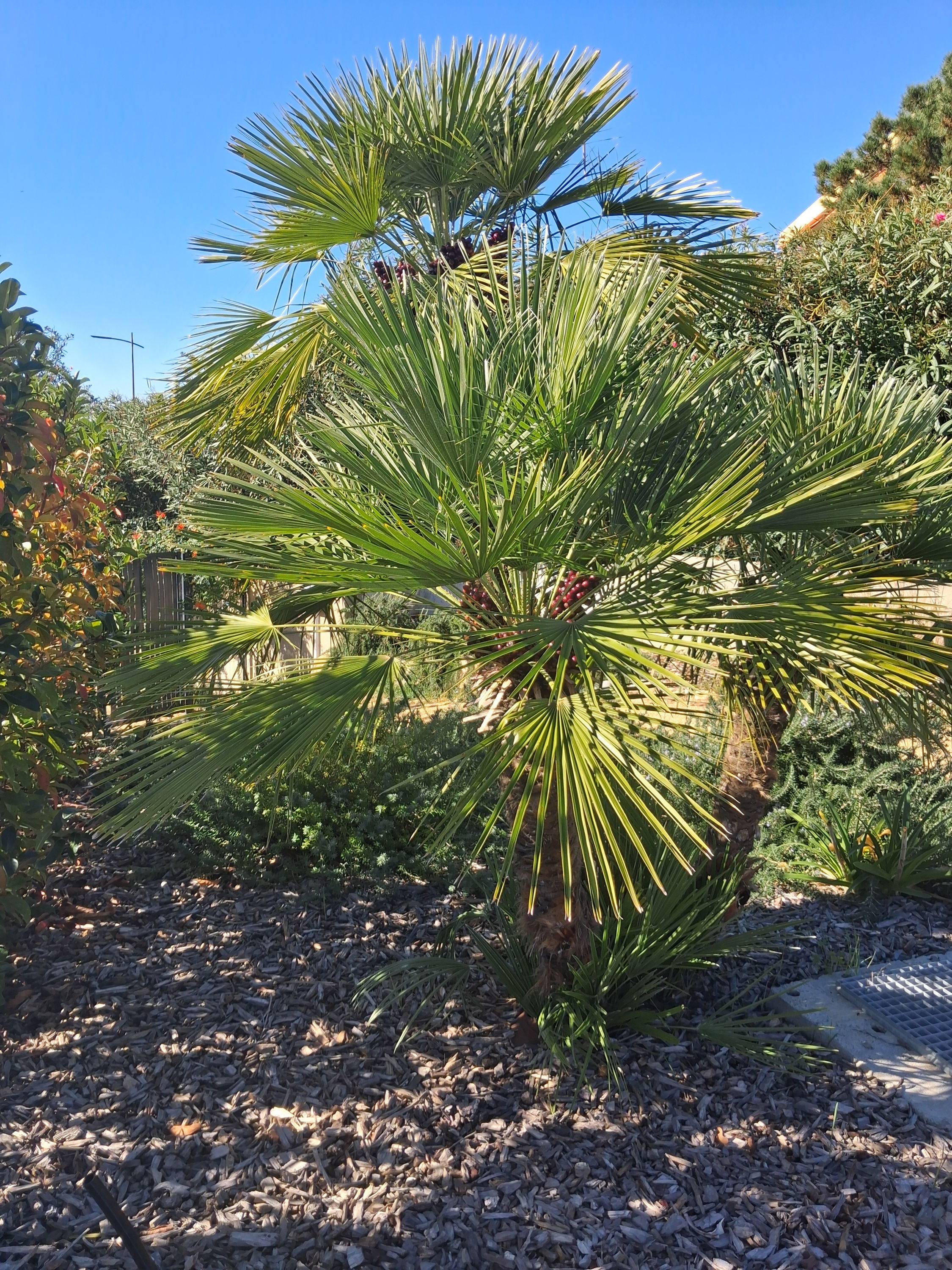 Une photo de l’annonce de location de vacances