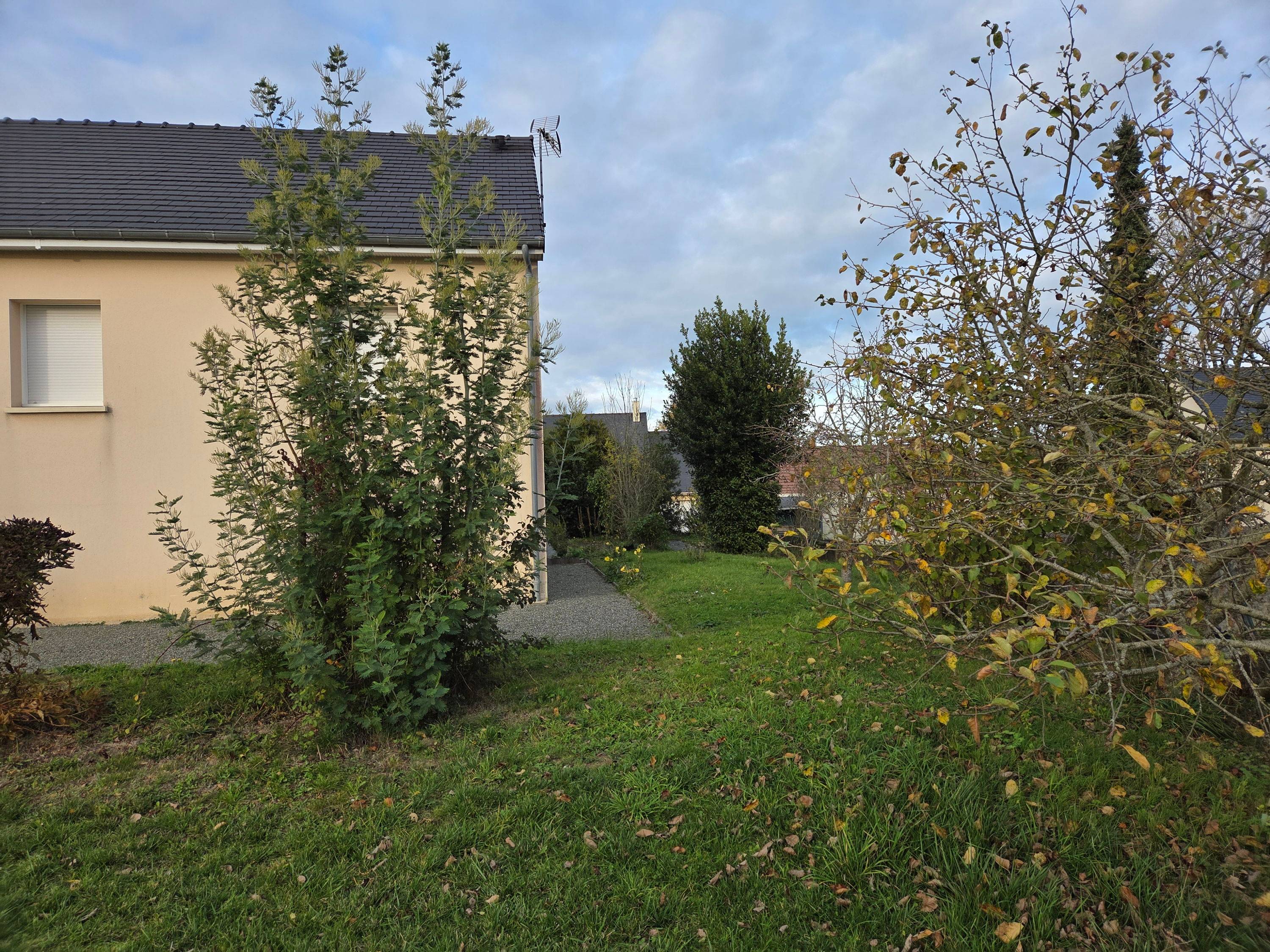 Une photo de l’annonce