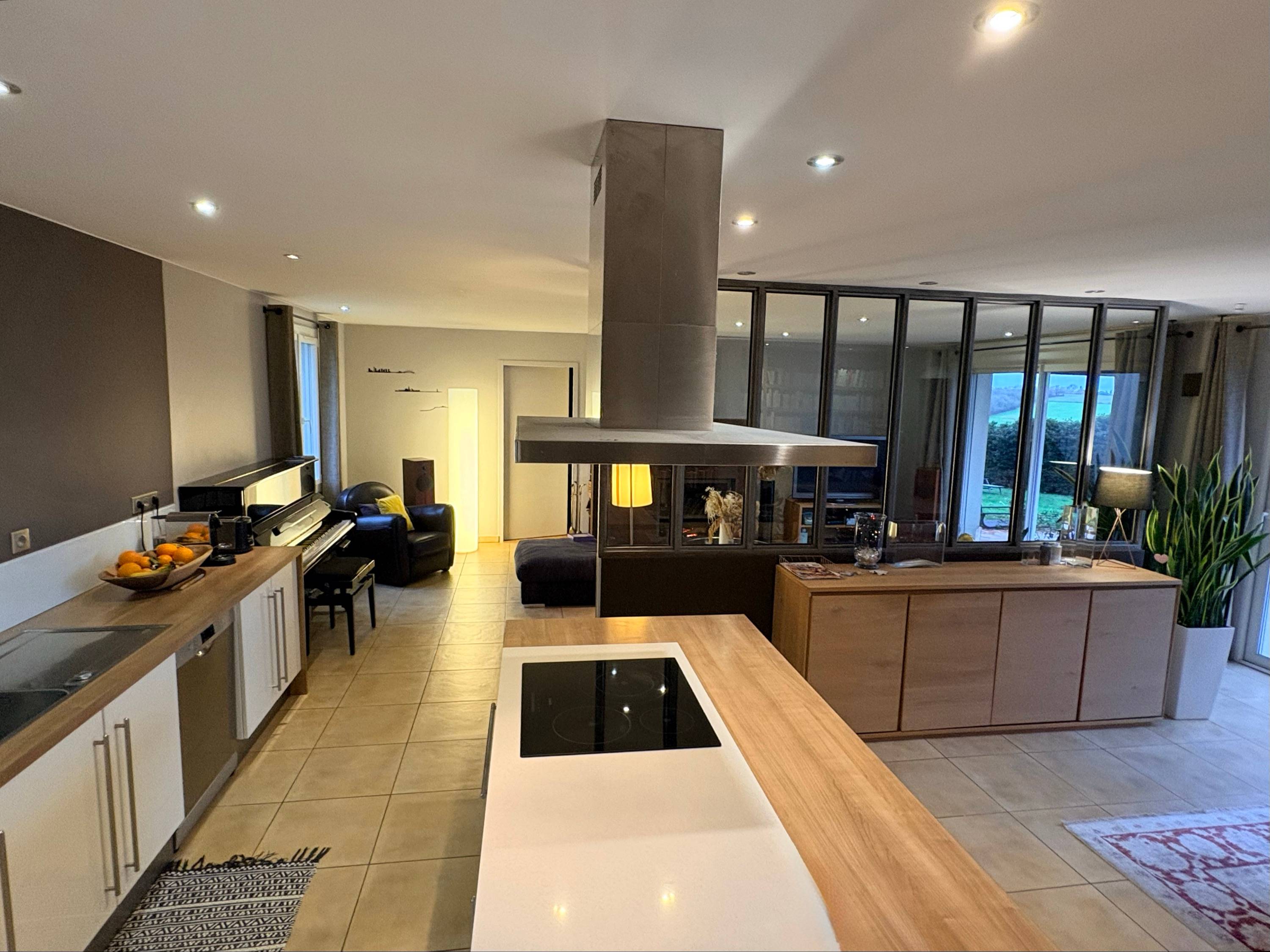 Vends maison familiale, 5 chambres, 219m², beau jardin piscine vue Pyrénées, Est de Toulouse Odars (31)