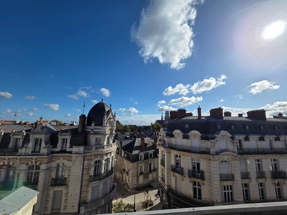 Une photo de l’annonce