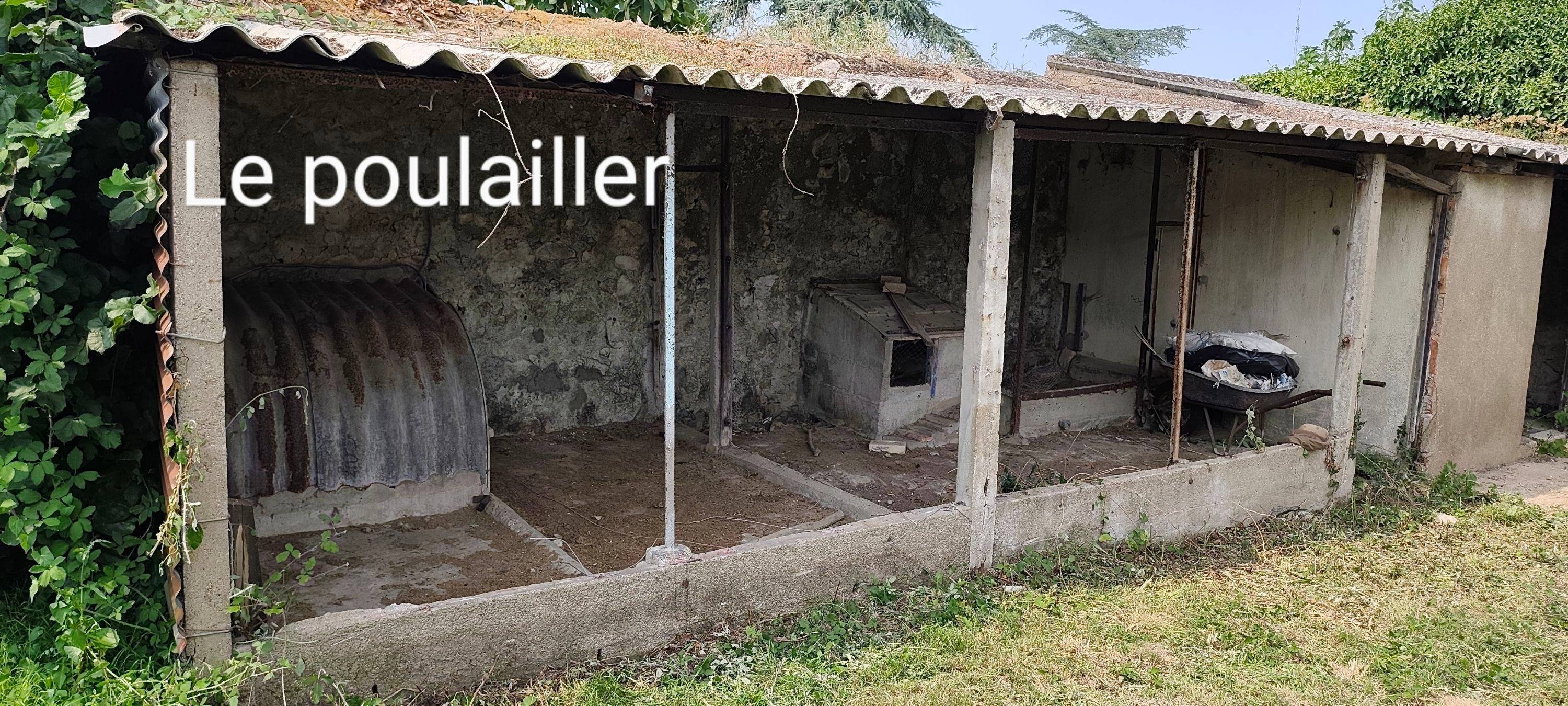 Une photo de l’annonce