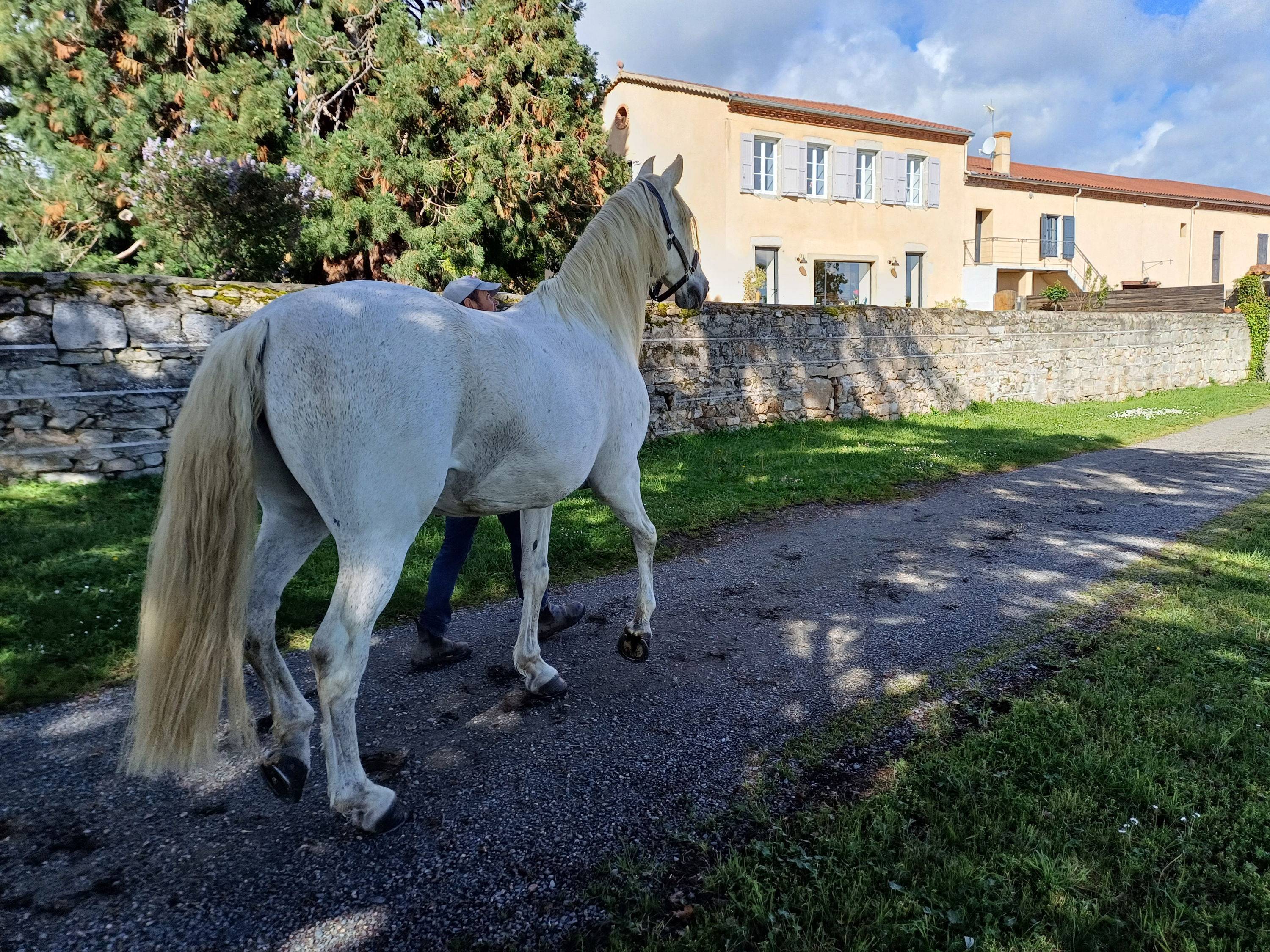 Une photo de l’annonce