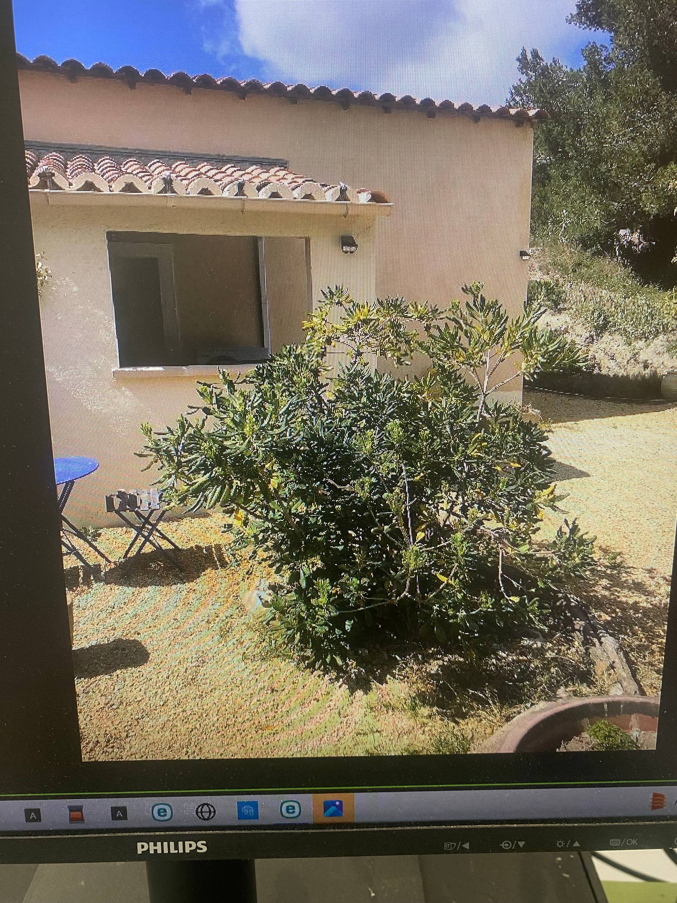 Une photo de l’annonce