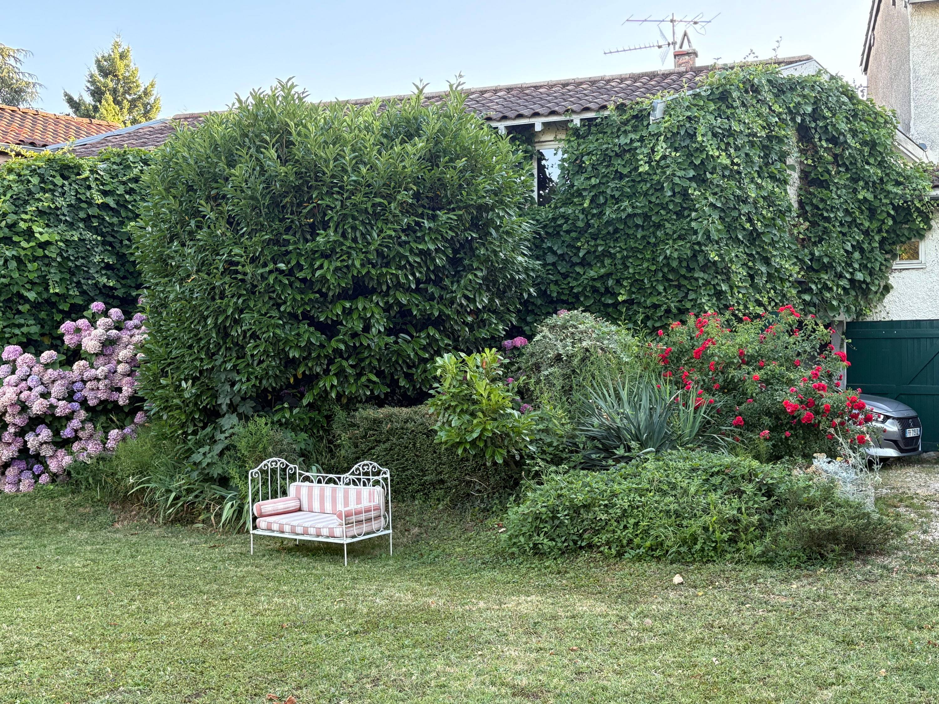 Une photo de l’annonce