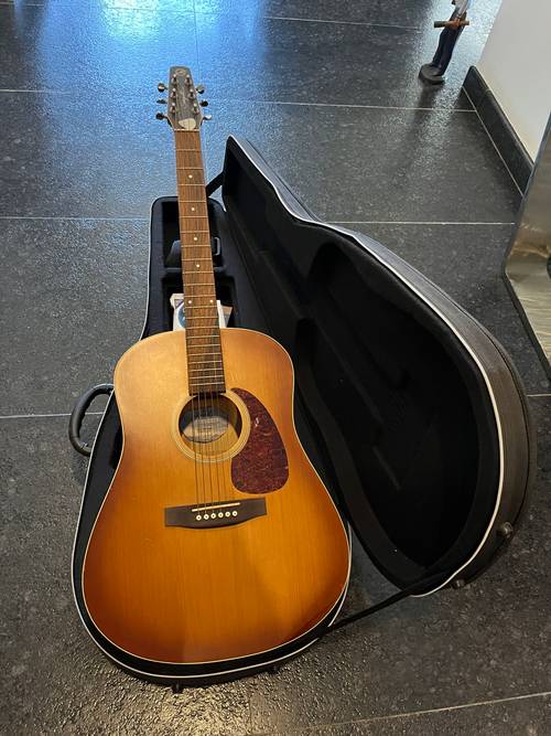 Guitare Folk Seagull