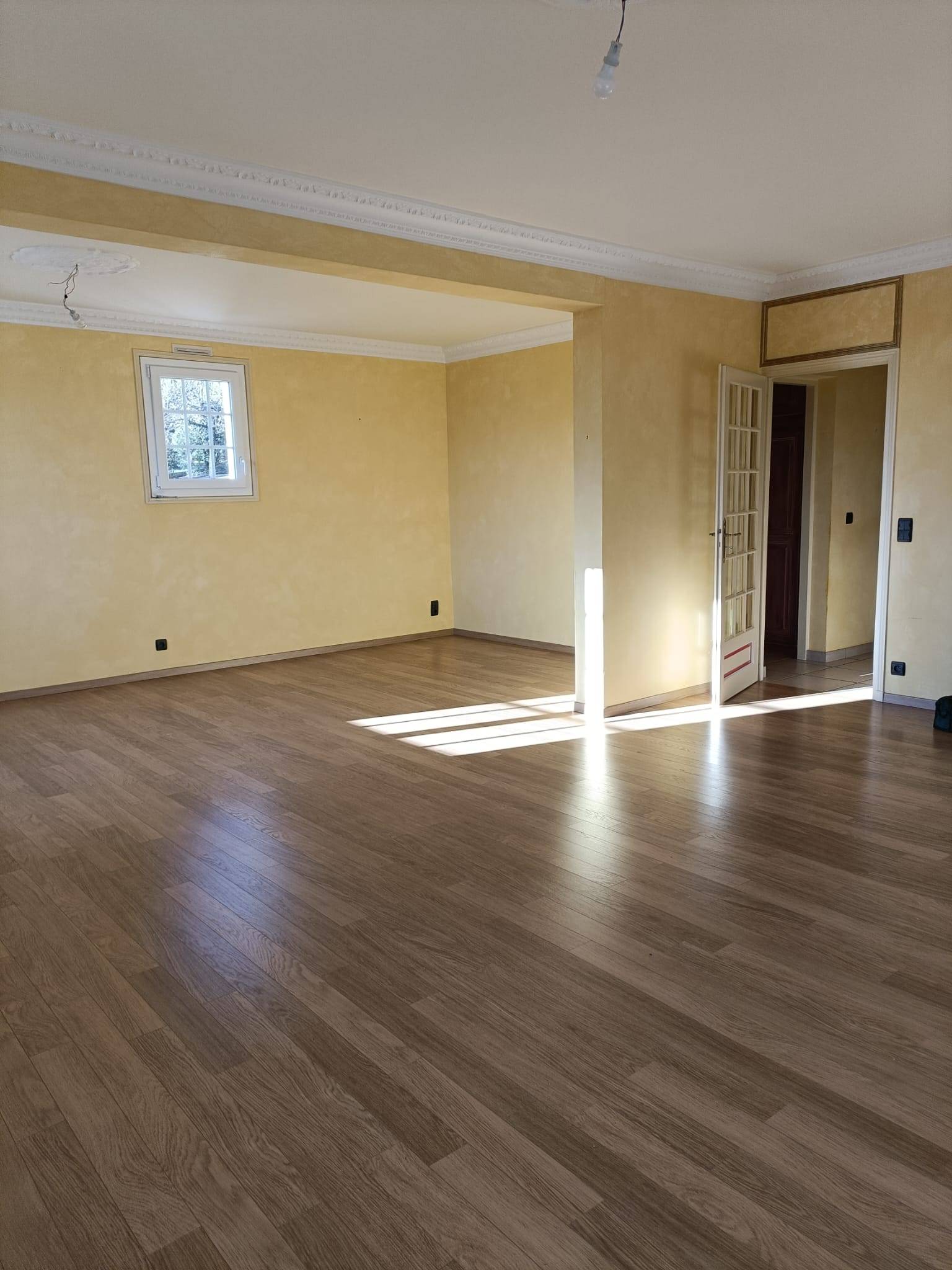 Une photo de l’annonce
