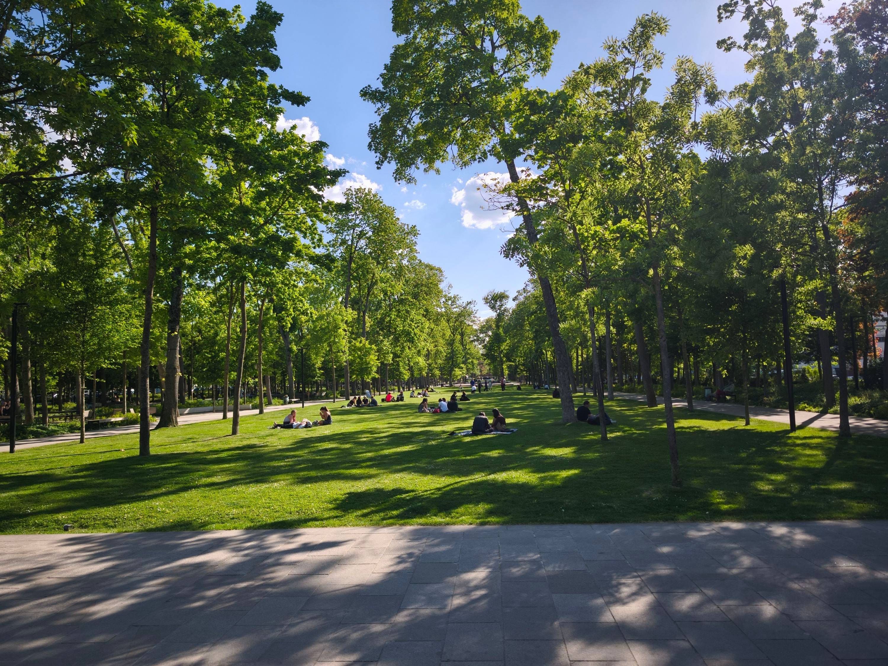 Une photo de l’annonce