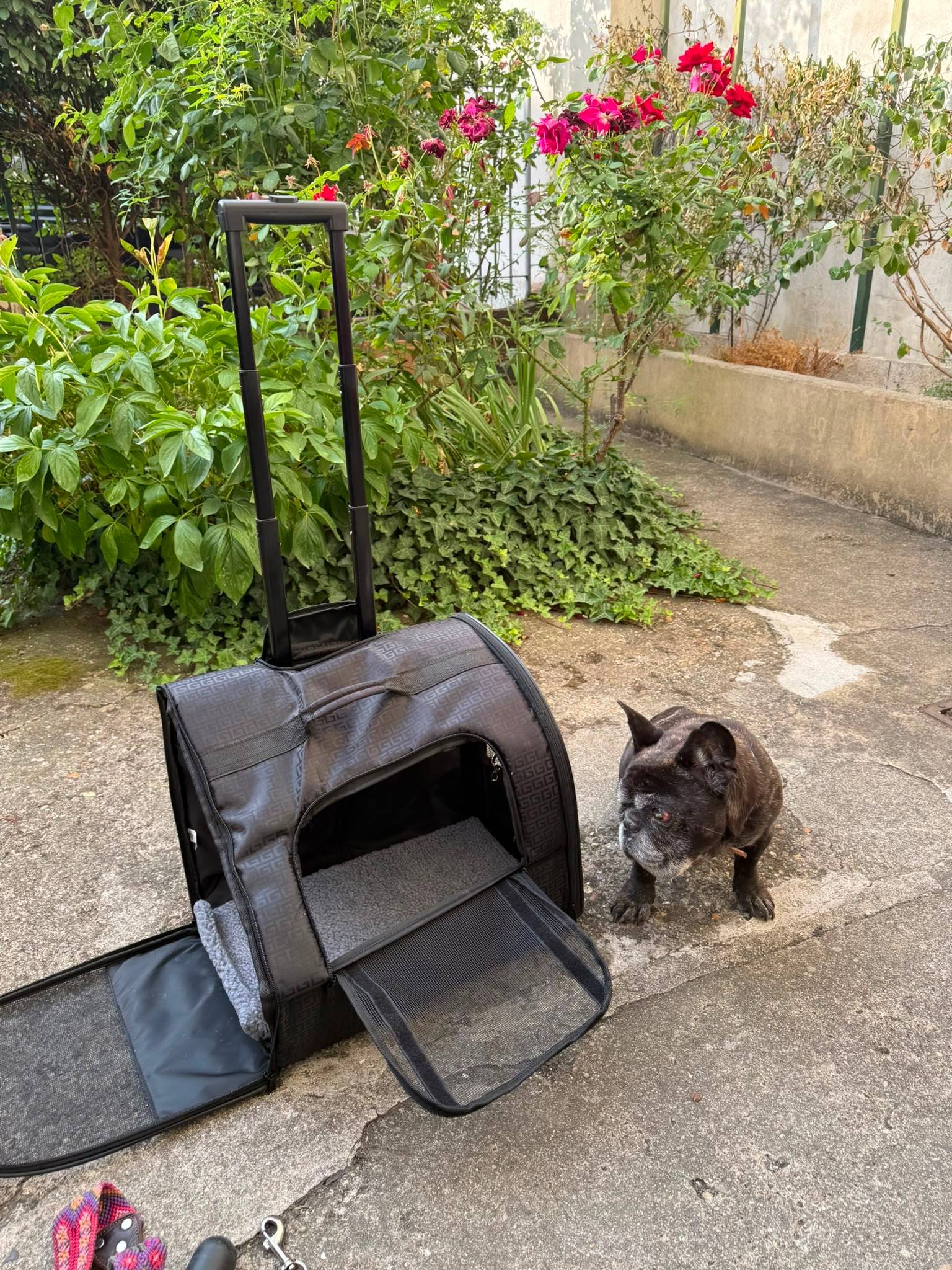 Vends sac à roulettes / transport pour chien / chat en très bon état