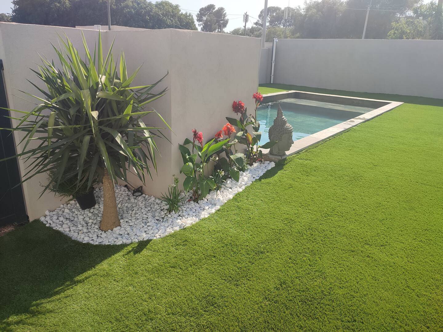 Une photo de l’annonce