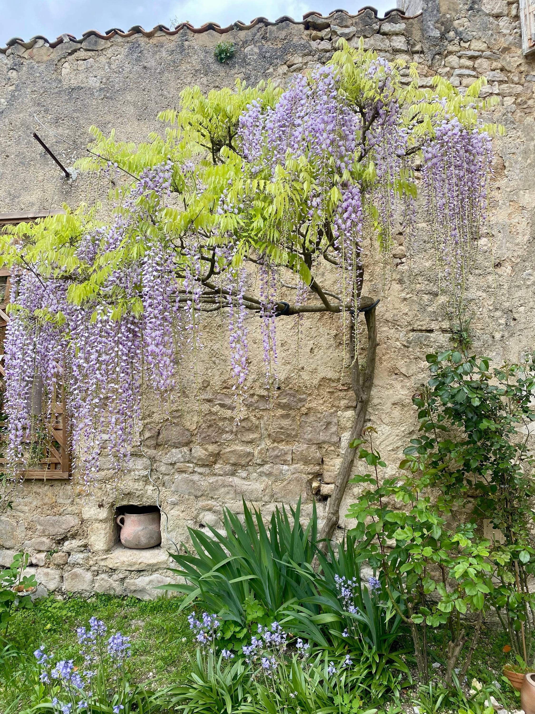 Une photo de l’annonce