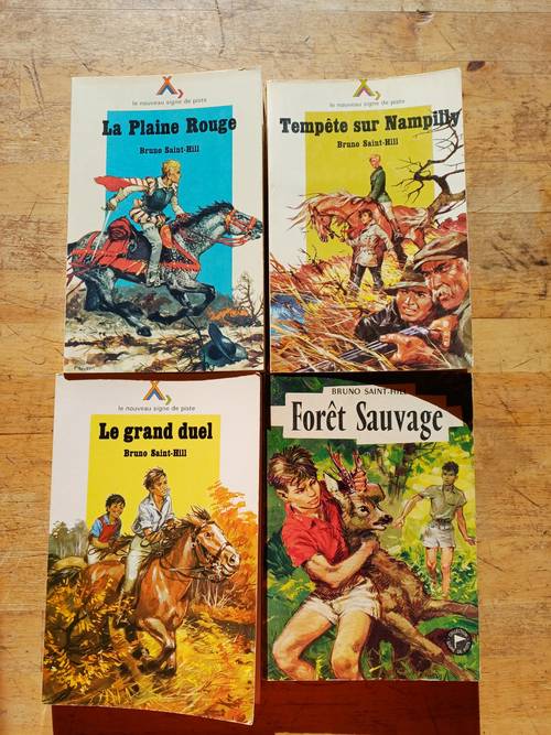 Bruno Saint-Hill - Série Nampilly