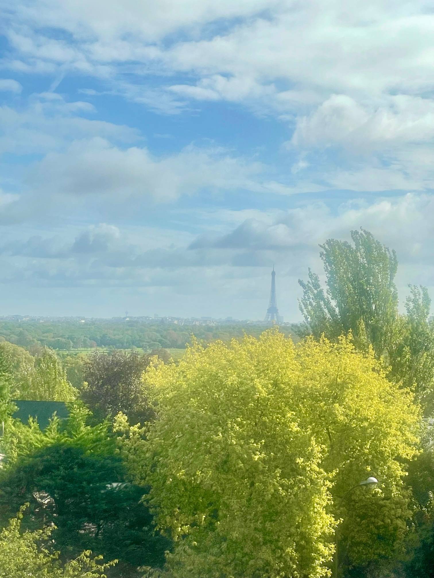 Une photo de l’annonce