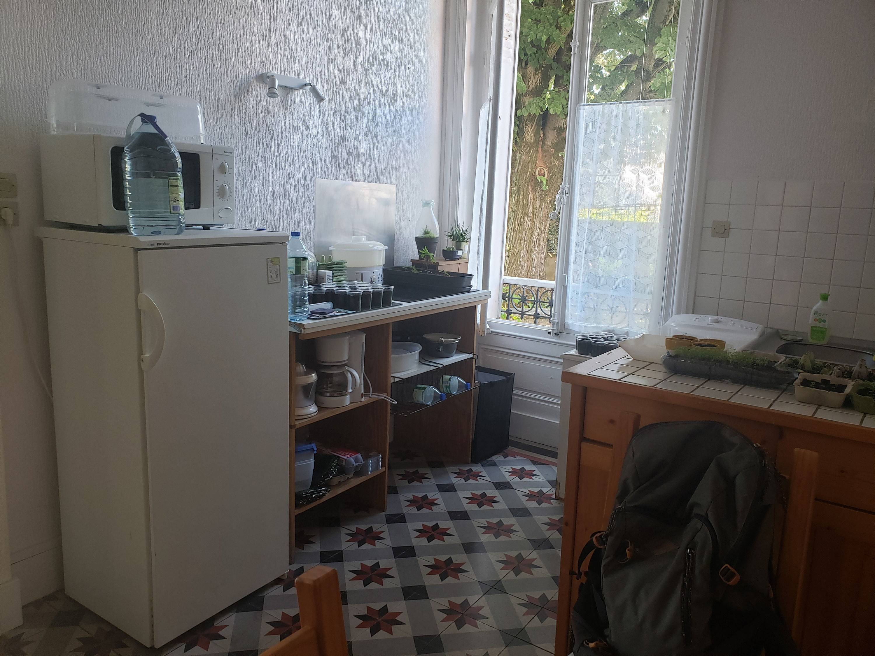 Une photo de l’annonce