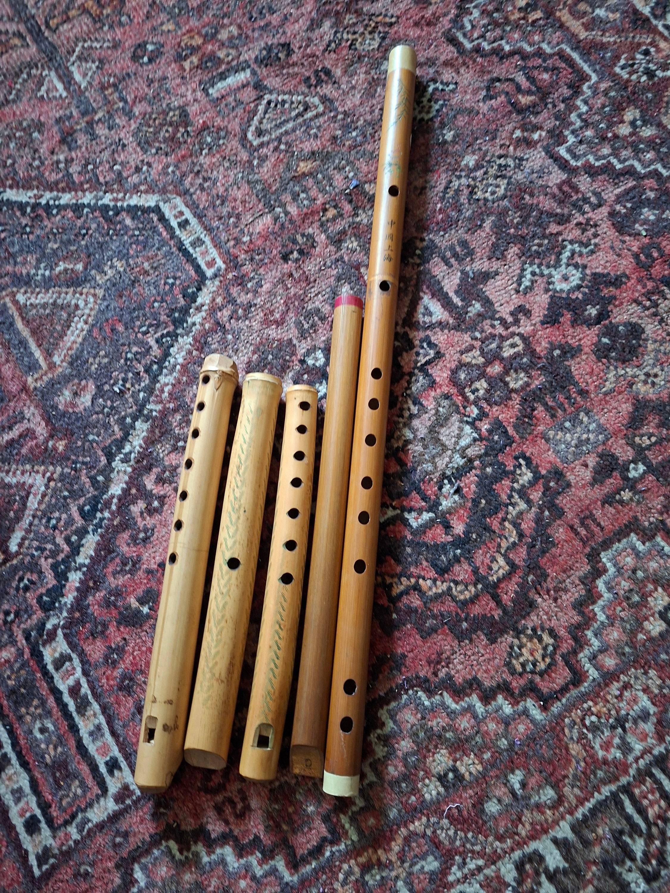 Vends lot de 5 flûtes à bec en bois (soprano, alto, ténor)