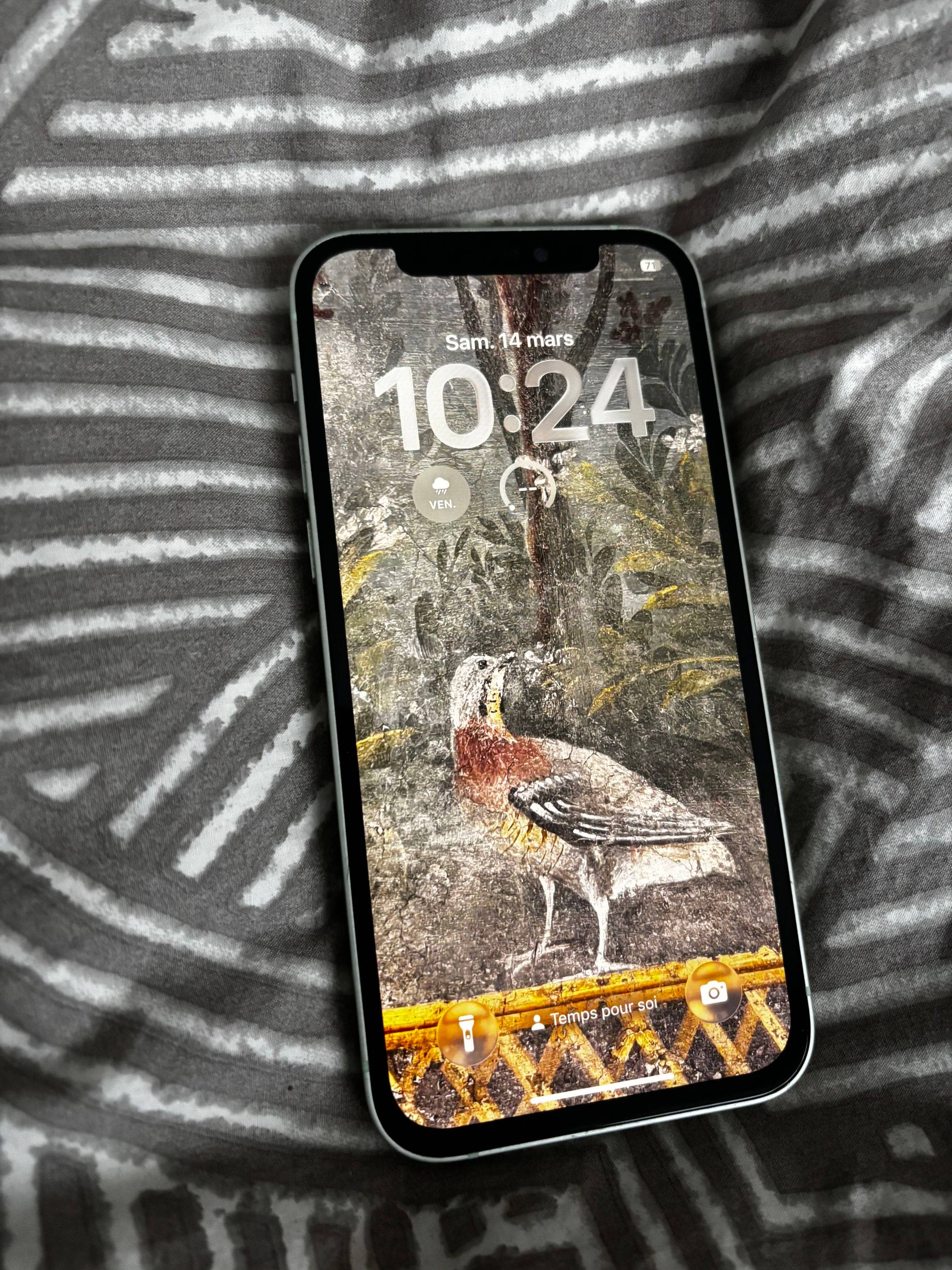 Vends iPhone 12 128 Go très bon état, batterie neuve, garantie 5 ans