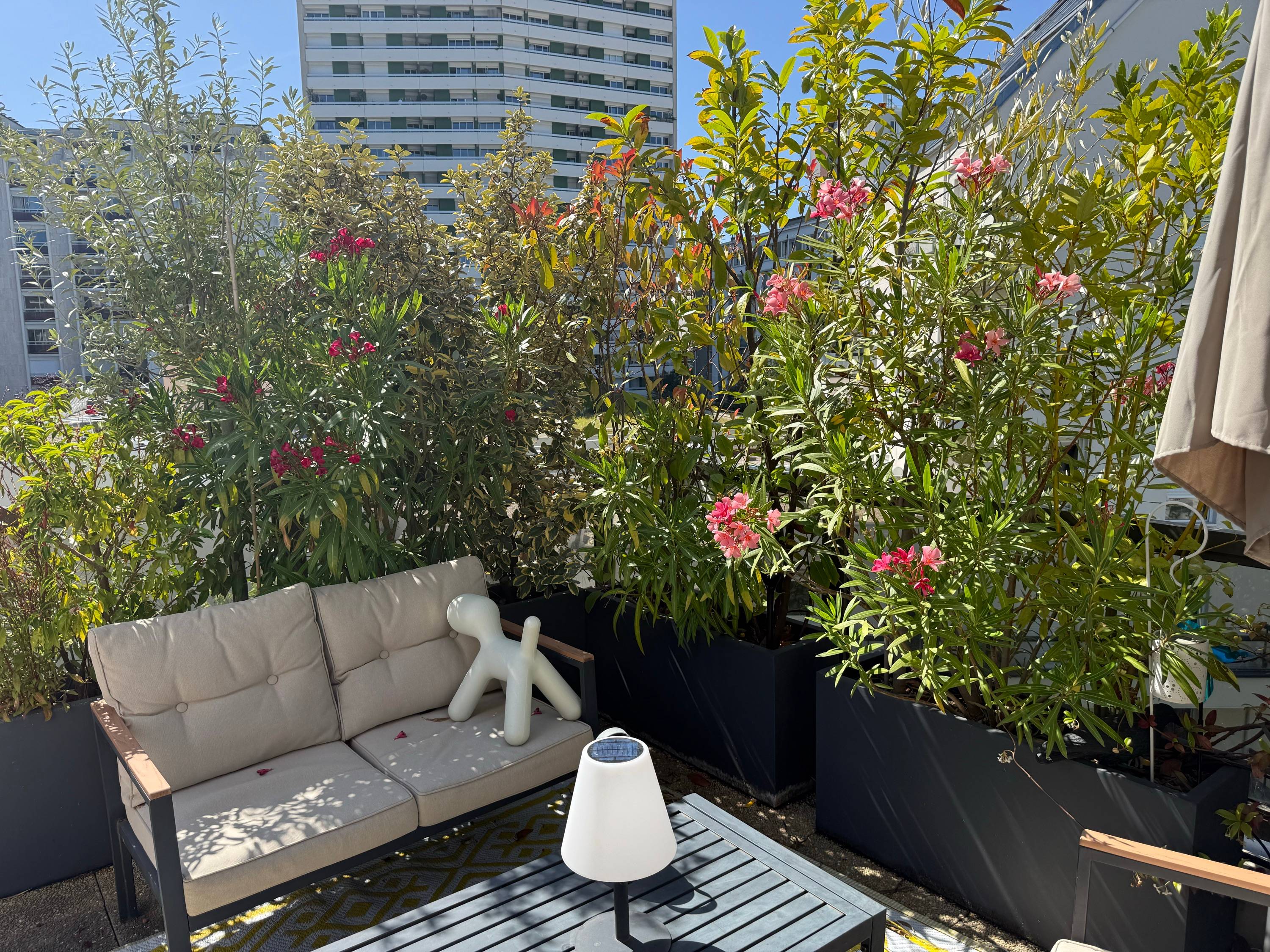 Vends plantes et jardinières pour terrasse ou jardin